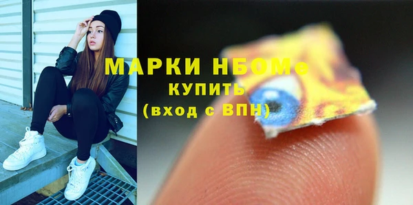 ECSTASY Каменка