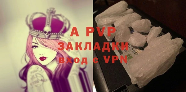 a pvp Каменногорск