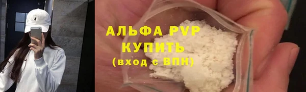 ECSTASY Каменка