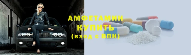 a pvp Каменногорск