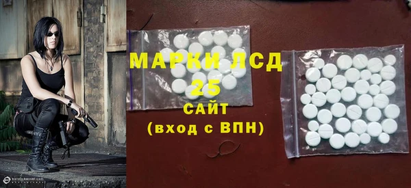 ECSTASY Каменка