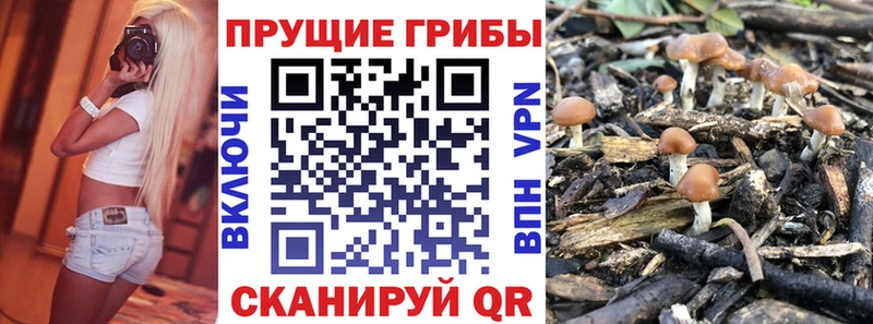 Галлюциногенные грибы мухоморы  Купить где  Заозёрск 